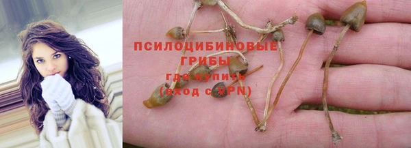 СК Белокуриха