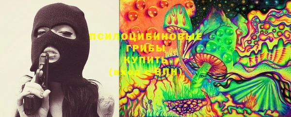 СК Белокуриха