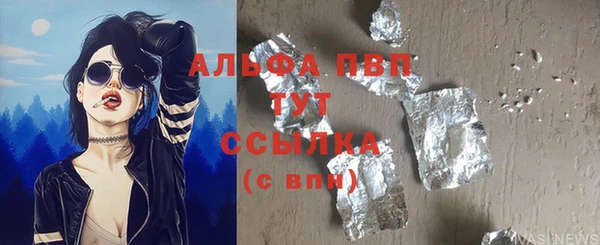 СК Белокуриха